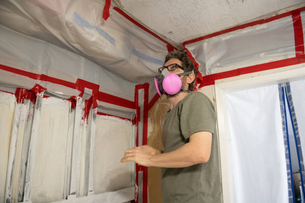 Mold Documentation for Insurance Claims in Pasadena Hills, FL